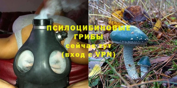 мяу мяу мука Осташков