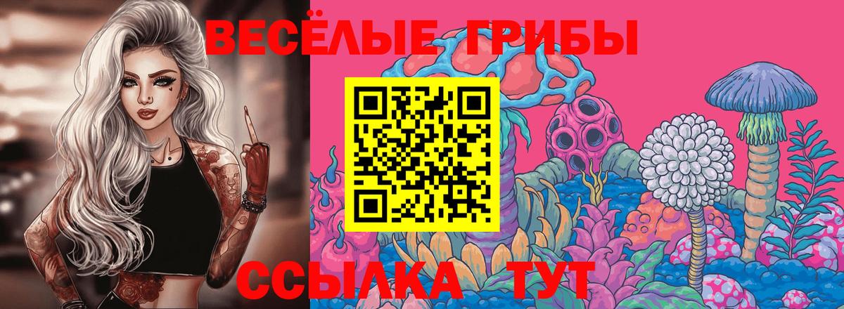 Псилоцибиновые грибы Cubensis Магадан