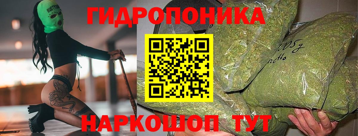 Магадан  Бошки Шишки план  Шишки марихуана VHQ  Вход с VPN 